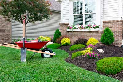 Residential and Commercial Lawn Service