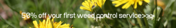 Weed Control Service Special