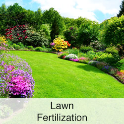 Lawn Fertilization Services